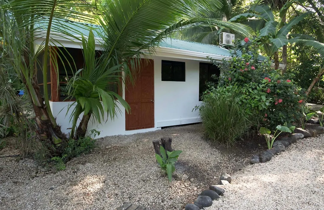 Jungles Edge Hotel, Jiu Jitsu, Muay Thai Retreat Center-1