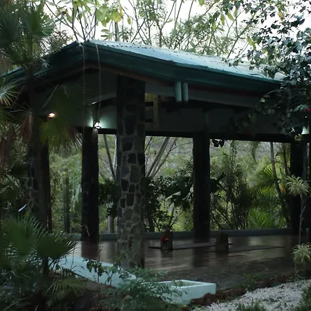 Jungles Edge Hotel, Jiu Jitsu, Muay Thai Retreat Center-3